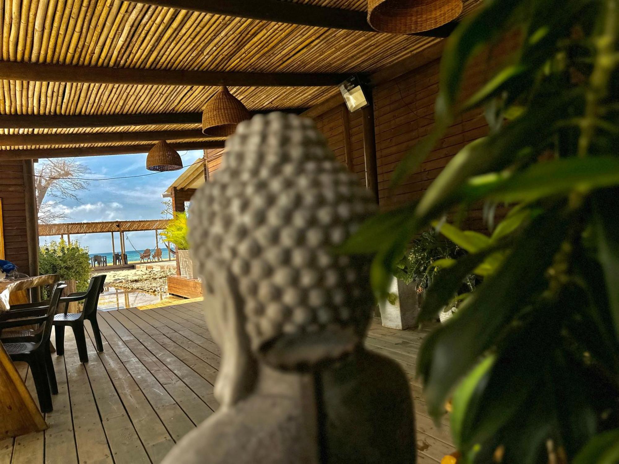 Medusa Hostel Isla Tintipan Tintipan Island Экстерьер фото